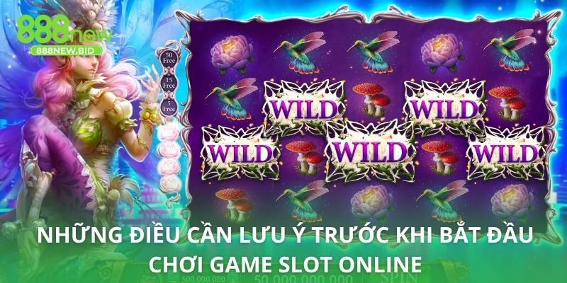 Những điều cần lưu ý trước khi bắt đầu chơi game slot online